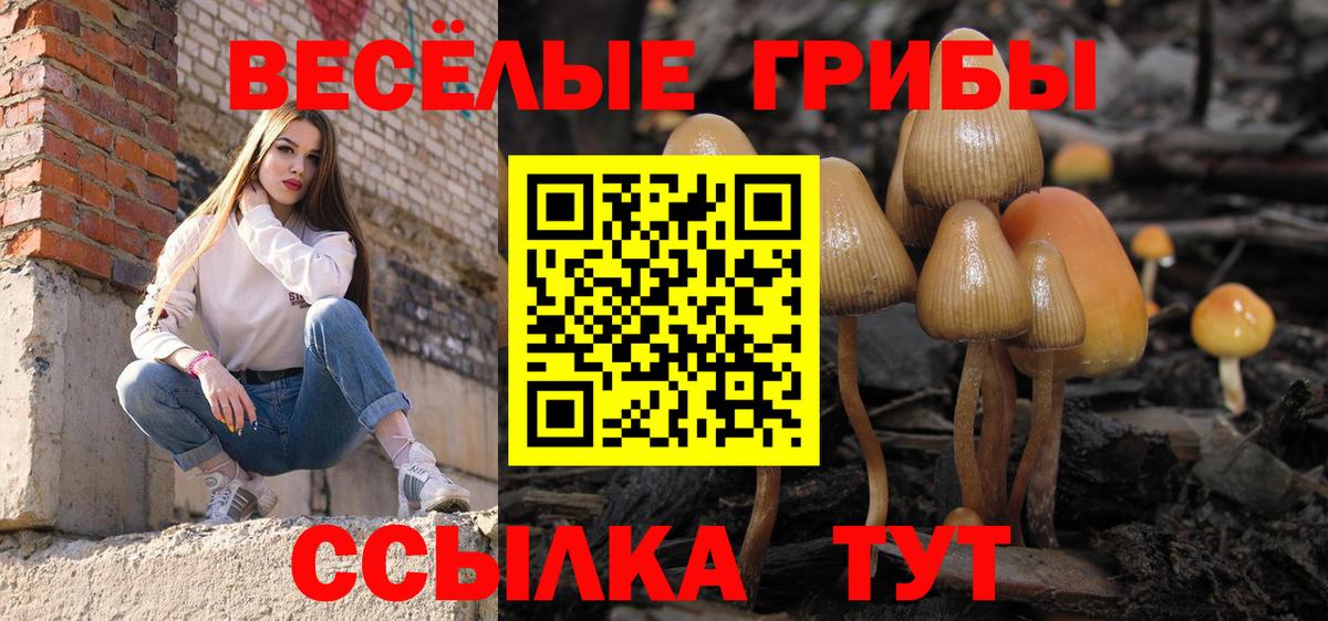 Галлюциногенные грибы Magic Shrooms Лениногорск