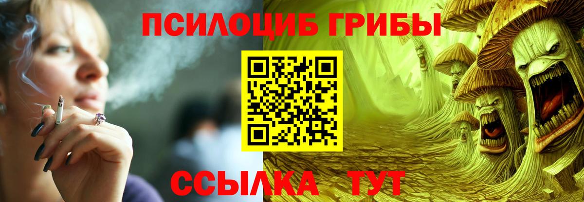 Лениногорск  Галлюциногенные грибы Cubensis  Галлюциногенные грибы мицелий  Вход с VPN 